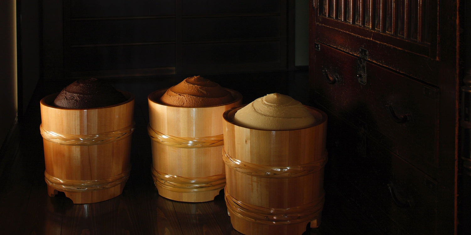 ALLES ÜBER SAIKYO MISO