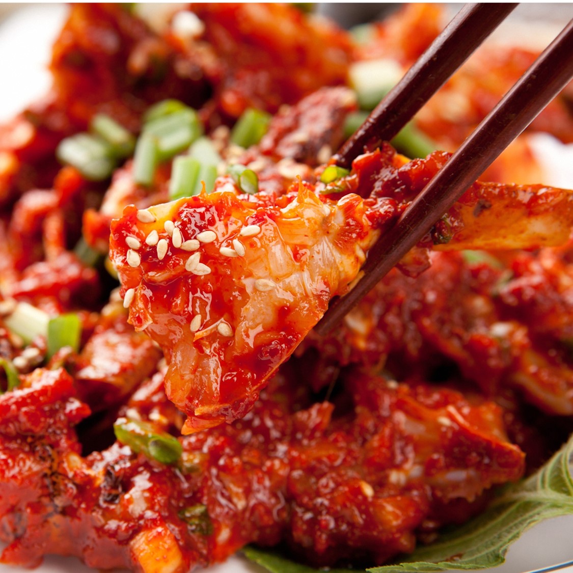 Gochujang Stillife