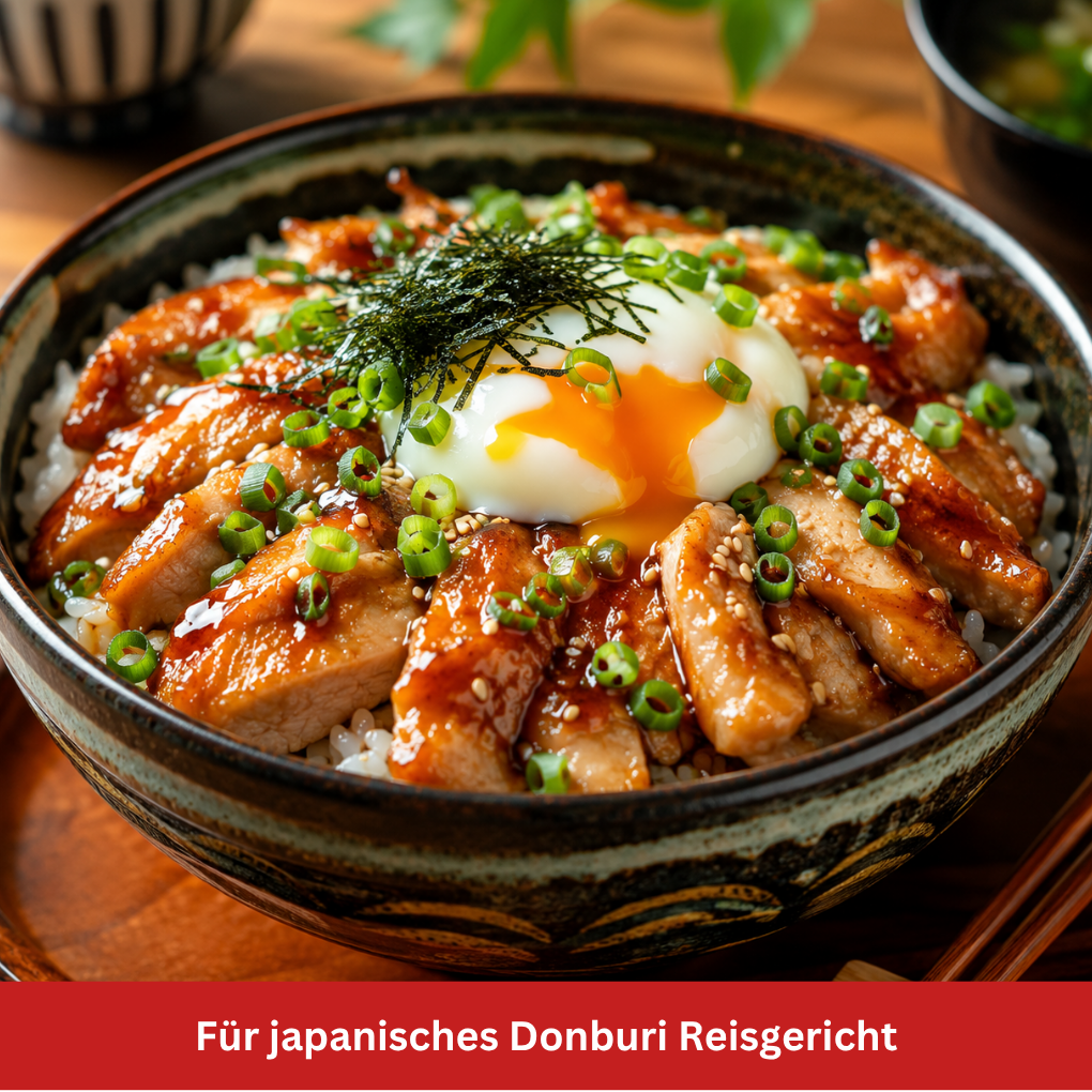 Japanisches Donburi-Reisgericht