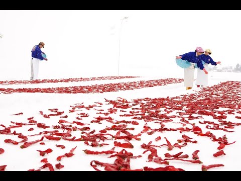 Video Kanzuri fermented Chili paste